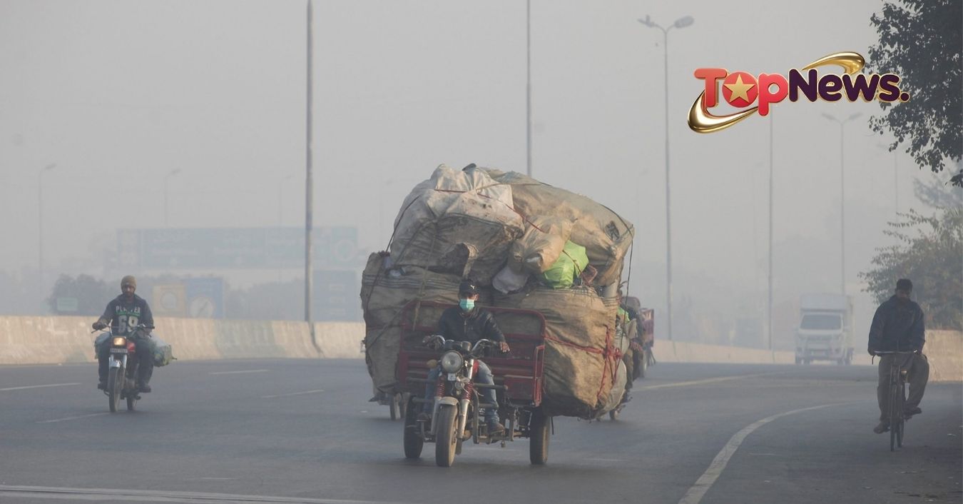 Civil Society and Citizen Activism